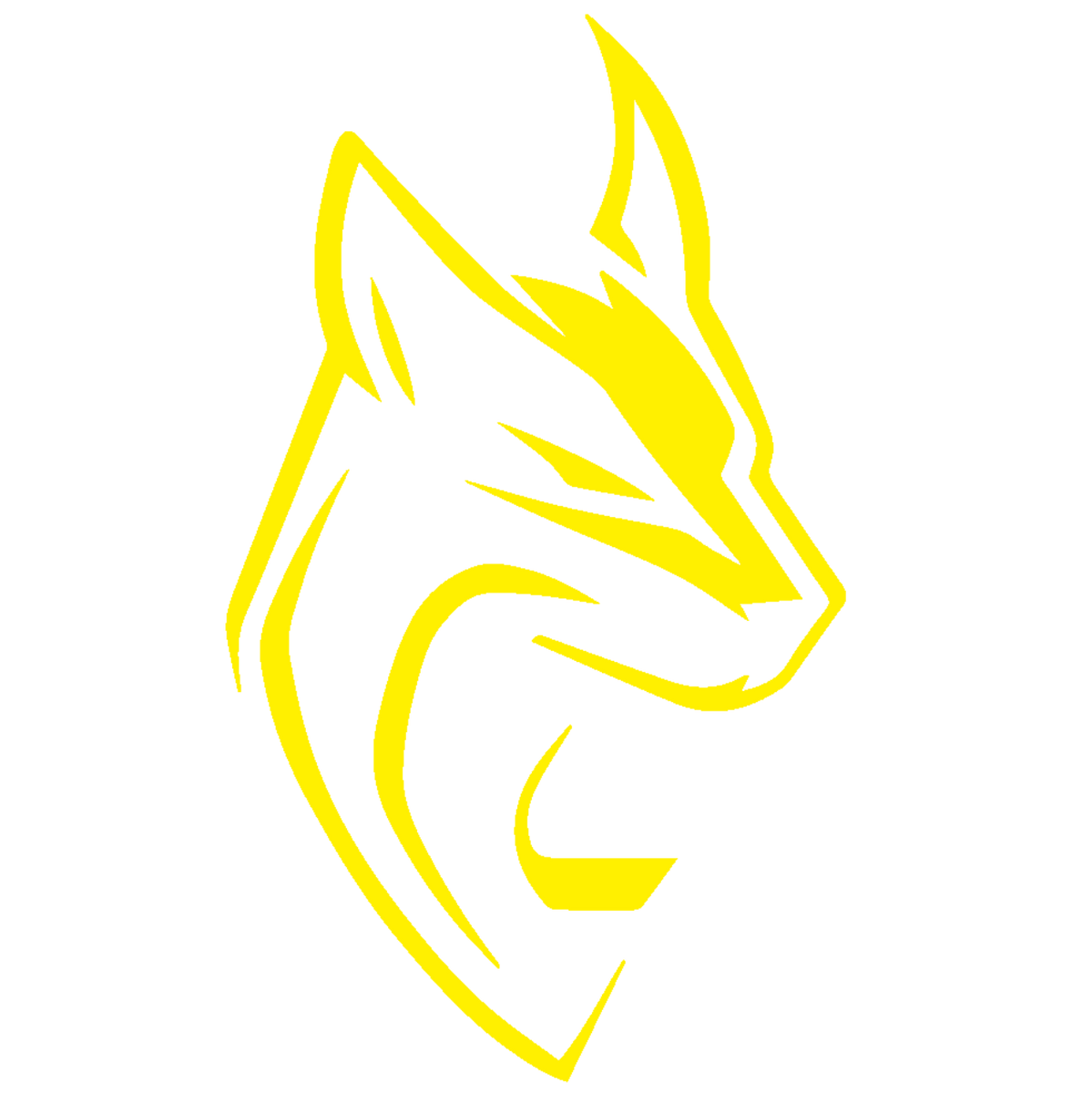 RLZ Motorsports logo